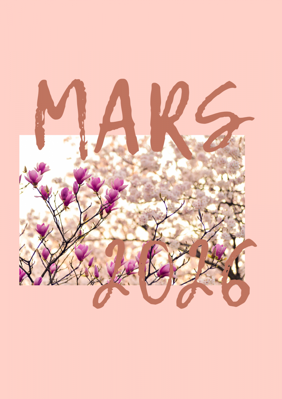 PROGRAMME MARS 2026